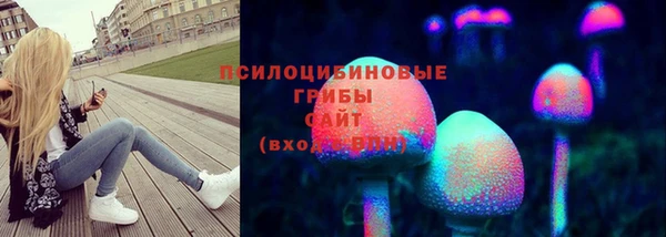 гашик Нязепетровск