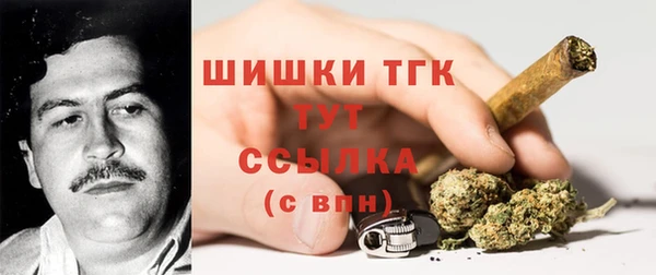 МДПВ Осташков