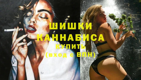 первитин Няндома