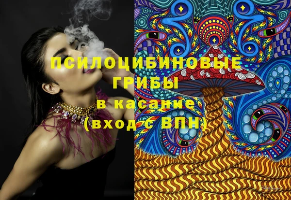 первитин Няндома