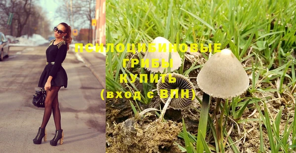 шишки Нягань