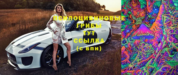 первитин Няндома