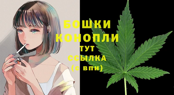 скорость Новозыбков