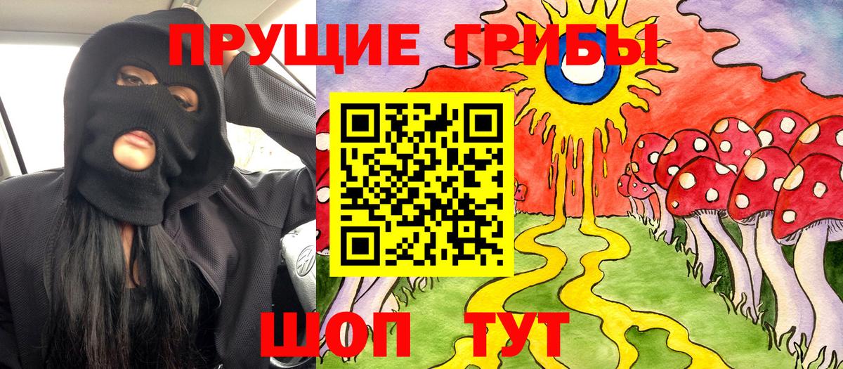 Псилоцибиновые грибы Psilocybine cubensis Владивосток